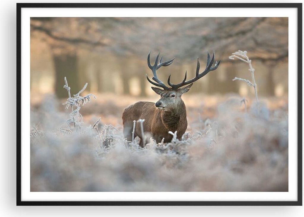Gerahmtes Poster - Schwarzer Rahmen - Hirsch Wald Natur - 100x70 cm - Wand Bild - Wanddeko - Wandbilder - Kunstposter - Wandposter - Bilderrahmen -...