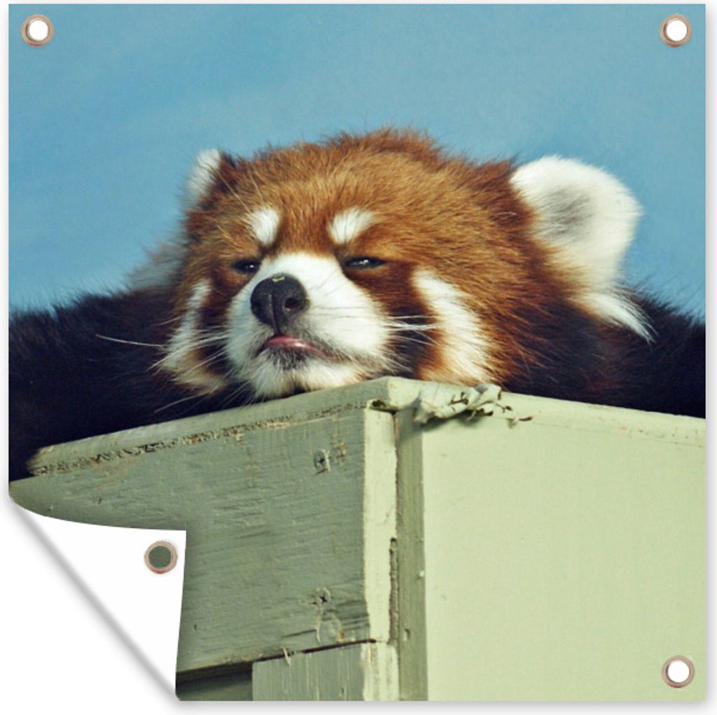 MuchoWow 100x100 cm Outdoor-Poster Gartendeko Sichtschutz Garten Poster für den Garten Panda - Holz - Rot