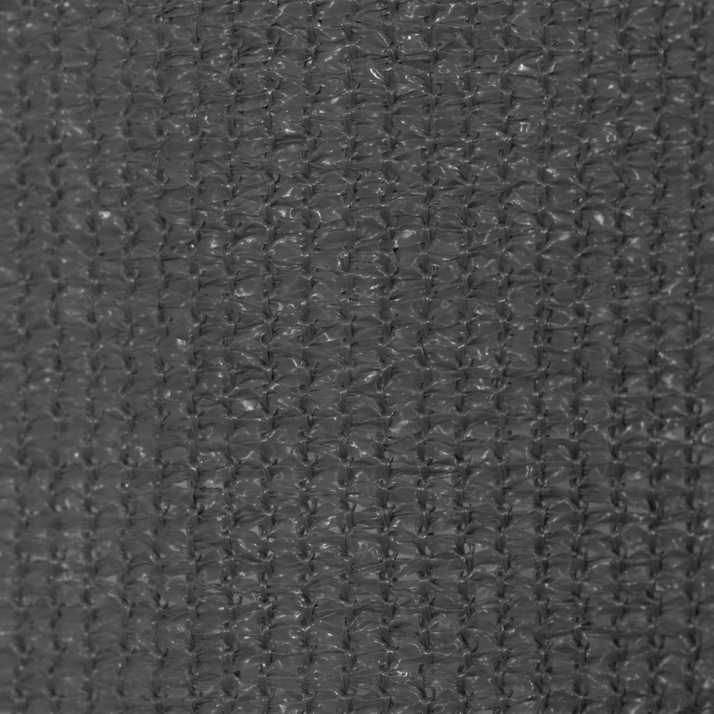 vidaXL Tenda a rullo per esterni 400 x 230 cm antracite Immagine del prodotto 