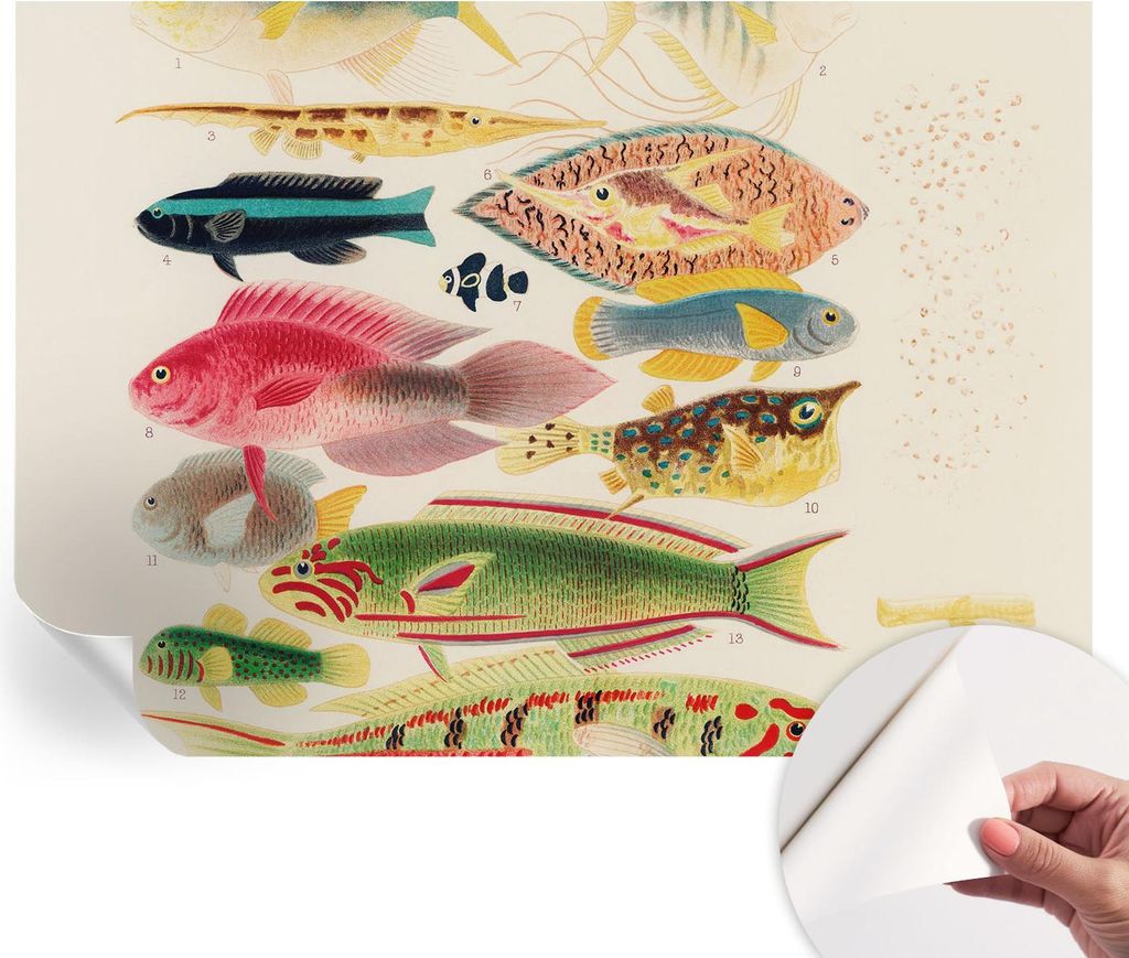 Selbstklebende Wandtapete - Dekorative Tapete für Wohnzimmer - Klebefolie für Wandbilder - Tapetenfolie für Wanddekoration - 312x219 cm - Bunte ...