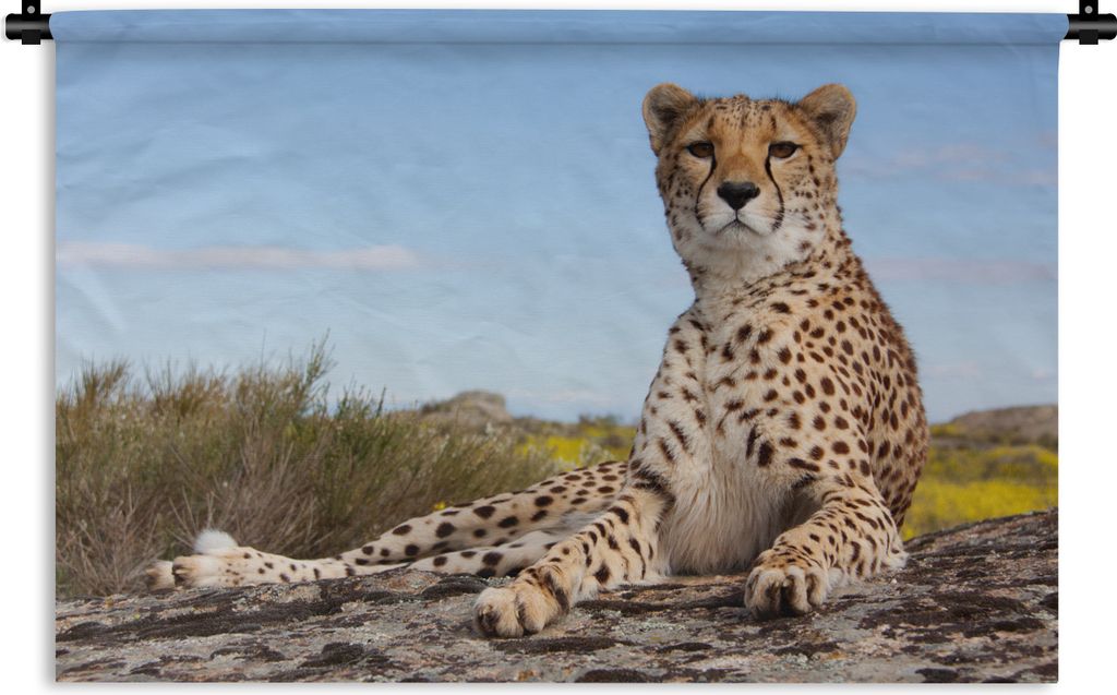 MuchoWow Wandteppich Wandbehang Leopard - Tiere - Natur 90x60 cm Tapisserie Dekoration Wandtuch - Wandskulpturen - Bildteppich