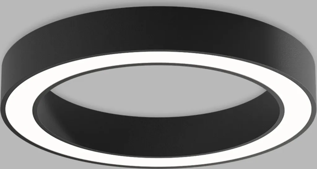 Éclairage de salon LED puissant 60cm plafonnier blanc 2CCT réglable