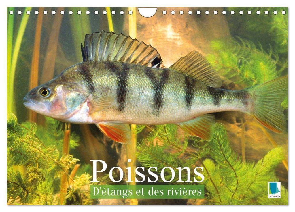 Poissons : d'étangs et des rivières (Calendrier mural 2027 DIN A4 vertical), CALVENDO calendrier mensuel