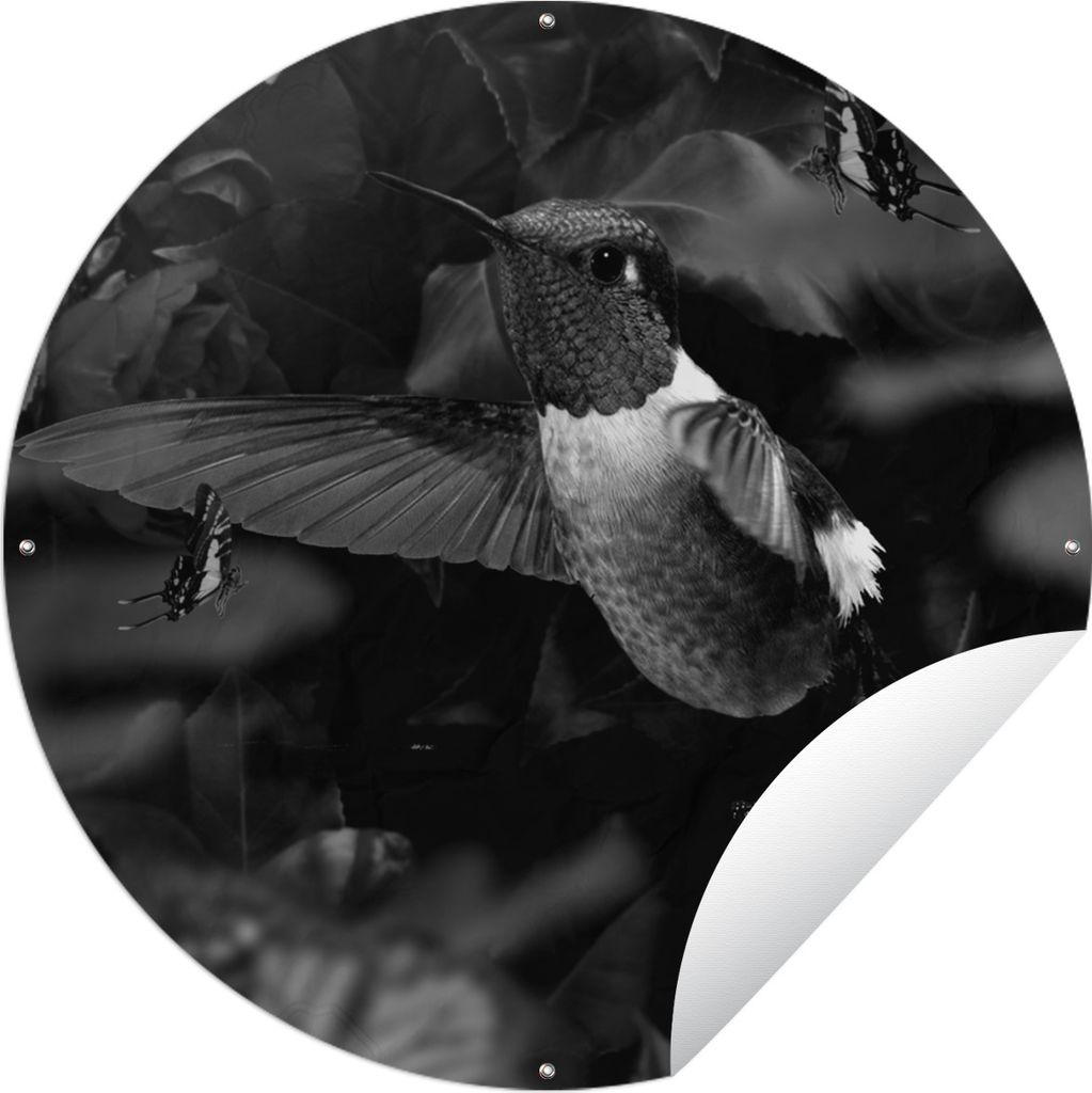 MuchoWow Gartenposter Outdoor-Poster Rund Goldener Kolibri umgeben von Schmetterlingen - schwarz und weiß Ø 150 cm Gartendeko Rundes Poster dra...