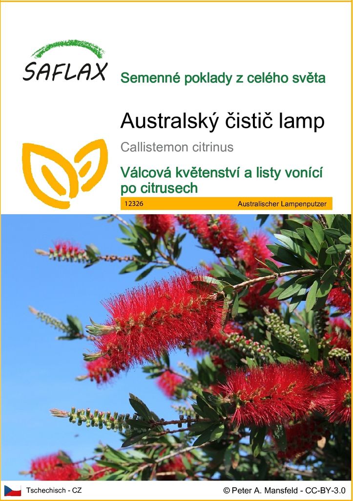 SAFLAX - Australský čistič lamp - Callistemon citrinus - Obrázek produktu 