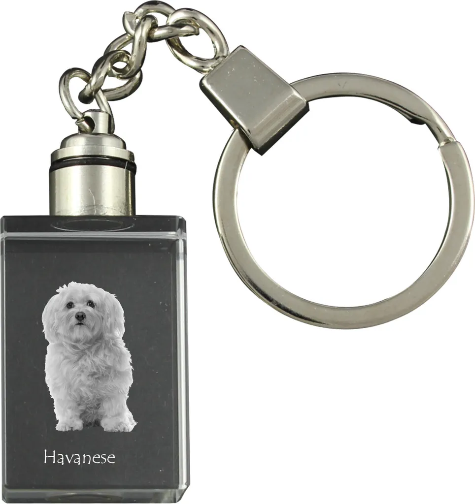 Portachiavi Luminoso Havanese 3D - Cristallo Art-Dog Alta Definizione