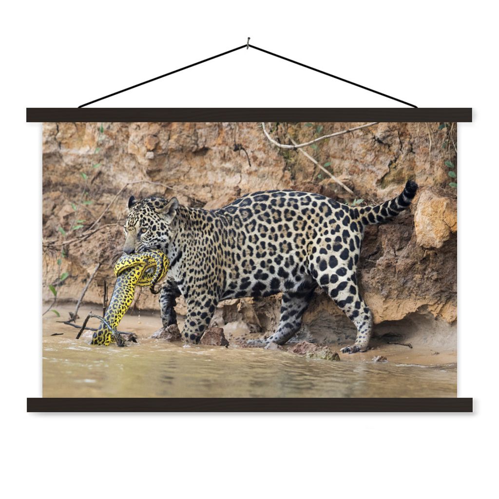 MuchoWow Textilposter Jaguar - Schlange - Wasser 150x100 cm mit schwarzem Rahmen - Schlafzimmer