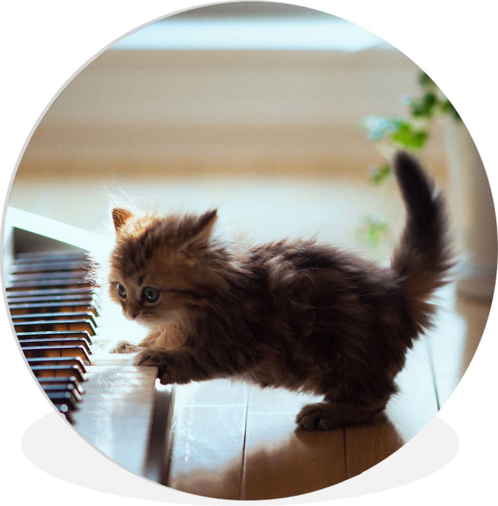 MuchoWow Rundes Wandbild - Runde Bilder Kätzchen - Klavier - Tiere Ø 90 cm Kreis Wanddekoration Kunststoff - Wandkreis - Wandschmuck - Wand-Kre...