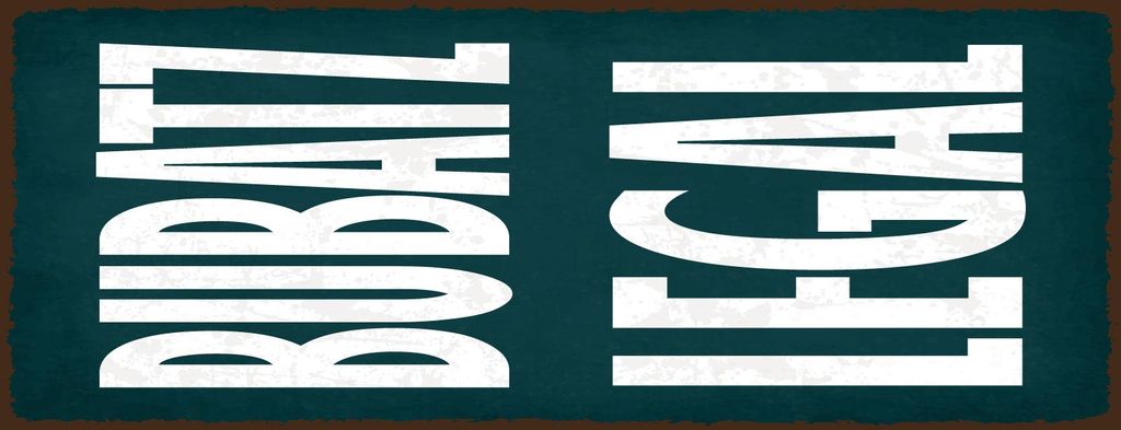 vianmo Blechschild 27x10 cm Bubatz legal