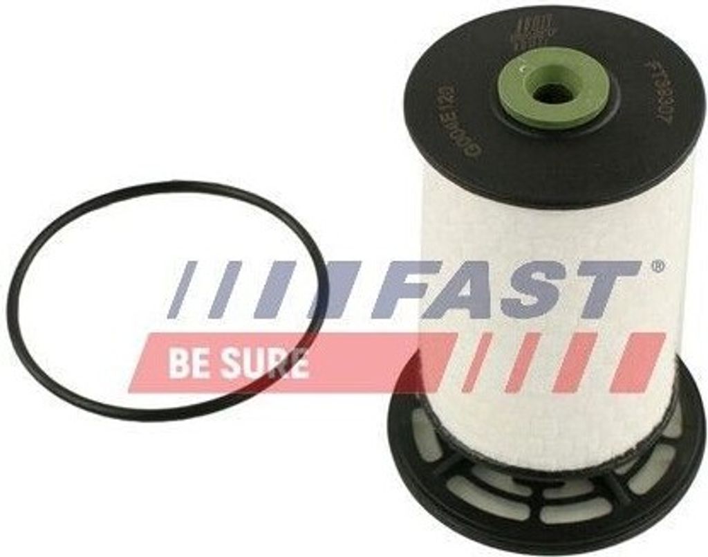 Kraftstofffilter FAST FT39307 für FIAT Ducato Kastenwagen (250, 290) Filtereinsatz