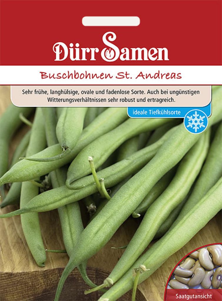 Dürr-Samen - Buschbohnen St. Andreas - Saatgut - 1103