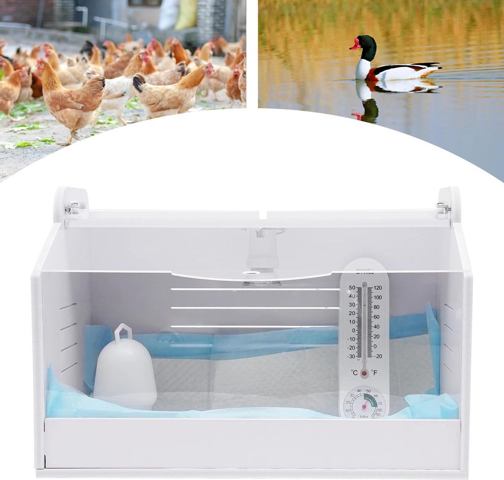 Brutmaschine - Inkubator - Kapazität 20 Eier - EU-Stecker - Thermometer - Belüftung - Dimmbares Wärmelicht - PVC/Acryl - Weiß