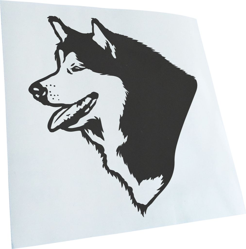 Kiwistar - Autoaufkleber - alaskan malamute Hund - Dunkelgrau - 40x36cm - Aufkleber für Auto, Laptop, Fahrrad, LKW, Motorrad mehrfarbig JDM Decal ...