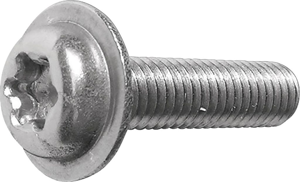 ecosyn-fix M 6x 12 Torx 30 Edelstahl A2 Flanschschraube für Apparatebau