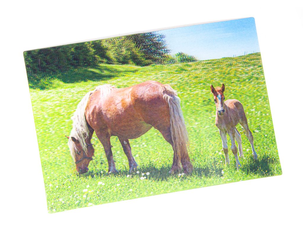 3 D Ansichtskarte Haflinger, Postkarte Wackelkarte Produktbild 