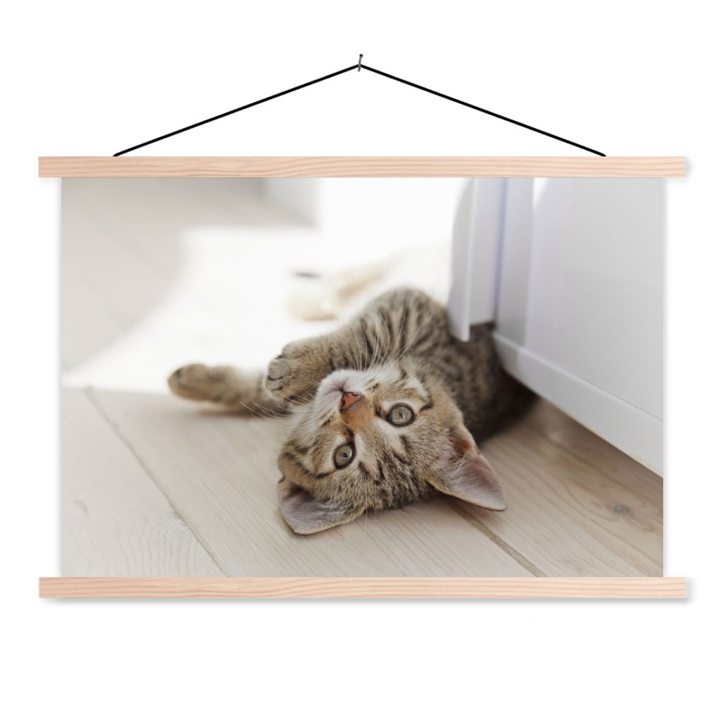 MuchoWow Textilposter Kätzchen - Sonne - Braun - Mädchen - Kinder - Jungen - Kind 60x40 cm mit holzfarbenen Rahmen - Bilder