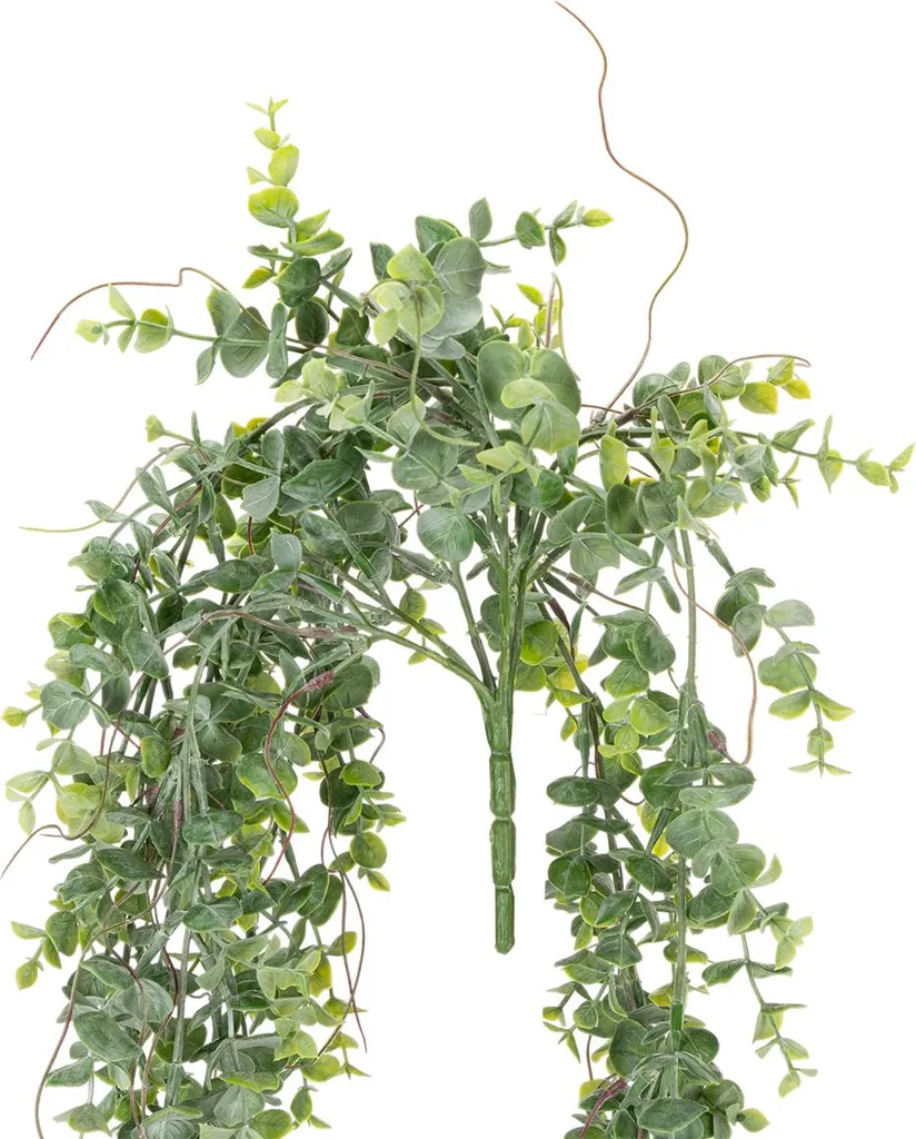Guirlande artificielle eucalyptus 2m pour décoration murale et table - 6