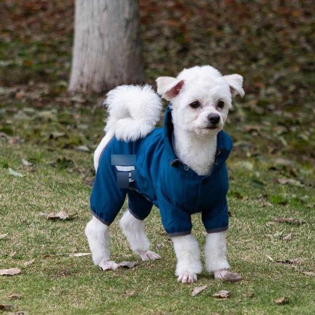 Wasserfeste Hundehose, wasserdichte Hundehose mit Kapuze, Hundehose mit Riemenloch, reflektierende Band für kleine und mittelgroße Hunde, leichte...