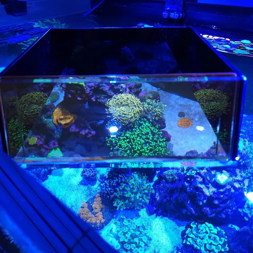 Visionneuse Flipper Top-Down Viewer : Finis les Reflets dans l'Aquarium