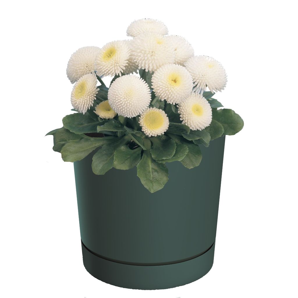 Blumentopf mit Untersetzer Ø19,9 cm Höhe 19,6 cm Rund Matt Modern Glatt Modisch Farbe Blau-stilvolle und langlebige Inner-heimdekoration Gehäuse