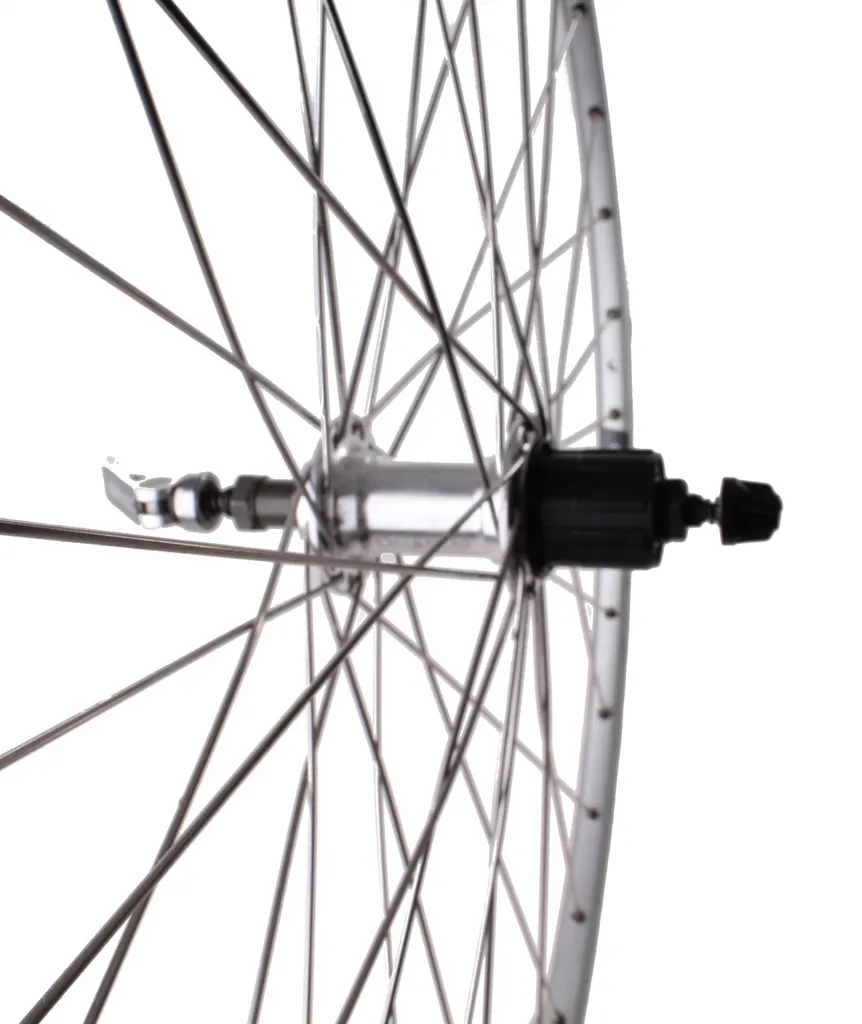 Roue Roland Ryde Chrina 28" 7V 36G Argent : Robustesse et Finition Alu