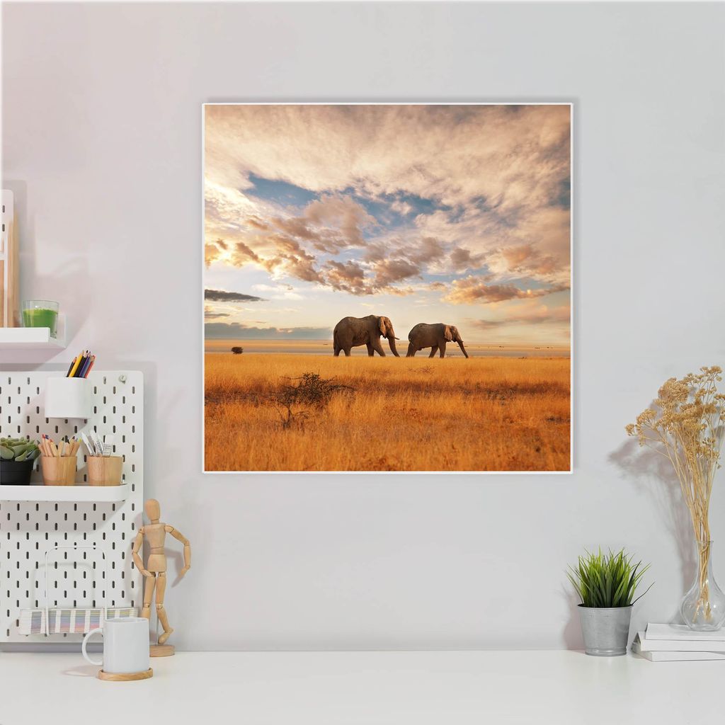 Design Stahlmagnettafel Quadratisch 50x50cm Elefanten
