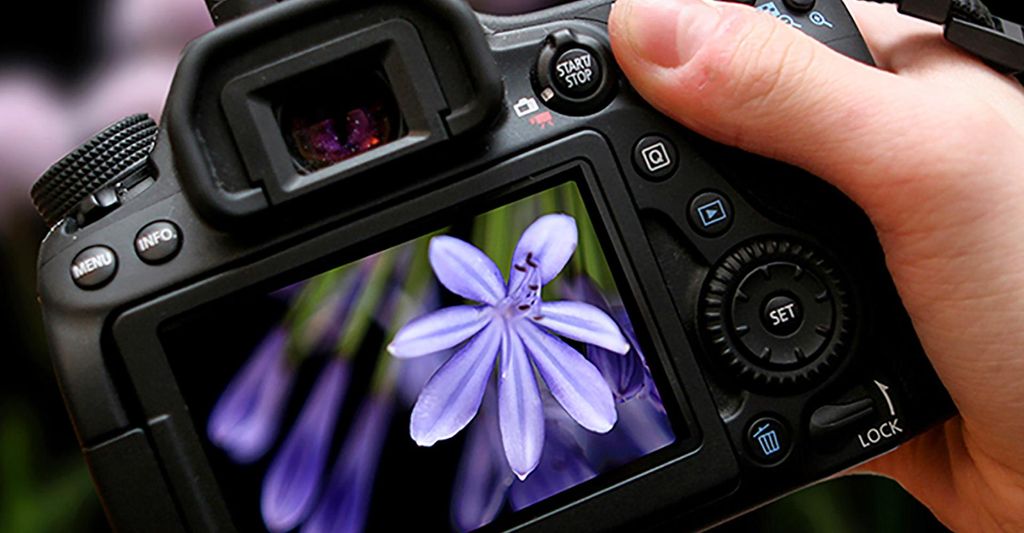 mydays Fotokurs Frankfurt (Einzelcoaching); Erlebnis verschenken oder selbst erleben; Gutschein für 1 Person(en)