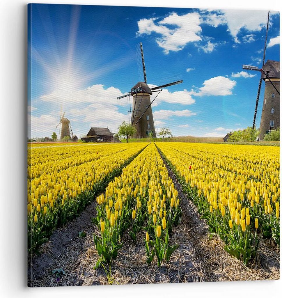 Bild auf Leinwand - Leinwandbild - Tulpen Windmühle Wiese Landschaft - 70x70cm - Wand Bild - Wanddeko - Leinwanddruck - Bilder - Kunstdruck - Lein...
