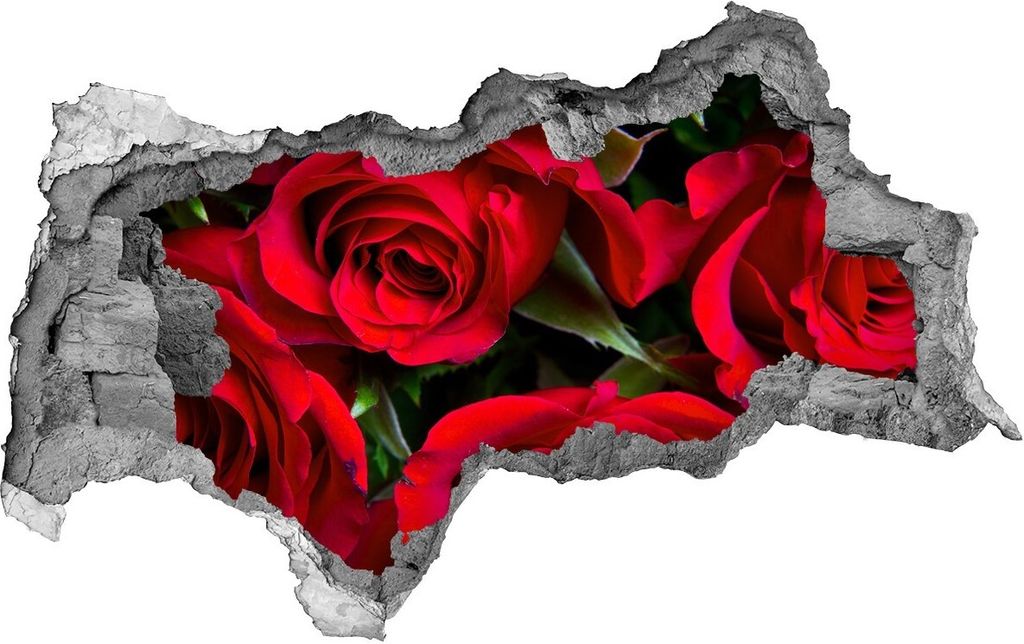 Selbstklebender Loch-3D-Aufkleber 95x73 cm rote Rosen