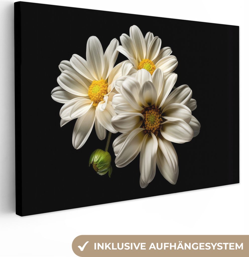 OneMillionCanvasses - Leinwandbilder - 140x90 cm, Blumen - Gänseblümchen - Weiß - Botanisch - Natur, Wandbilder Kunstdruck Wanddekoration - Fo...