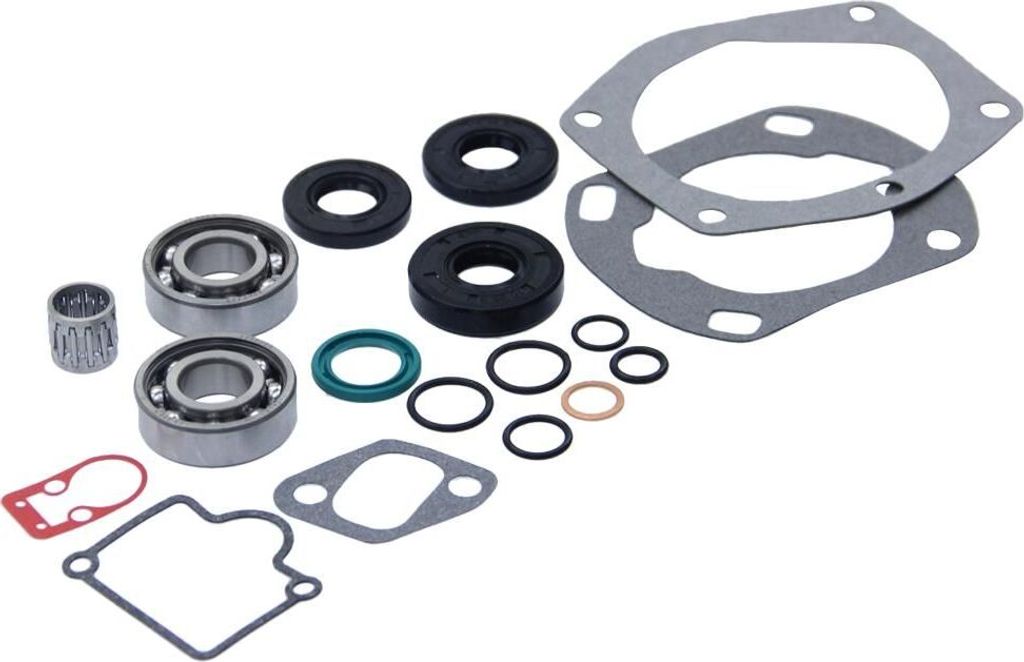 Dichtsatz Hercules Optima Sachs 505/2 DY Lager SKF Vergaserdichtungen Wellendichtringe