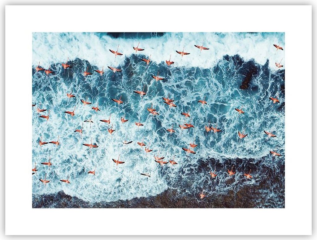 Poster - Poster ohne Rahmen - Flamingos Karibik Vögel - 40x30 cm - Wand Bild - Wanddeko - Wandbilder - Kunstposter - Wandposter - Bilder - Kunstdr...
