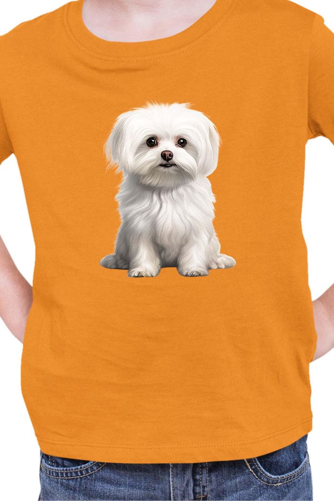 Kinder T-Shirt Dogs Breeds Maltese Dog Breed 006, 12-13 Jahr - 152 / Orange