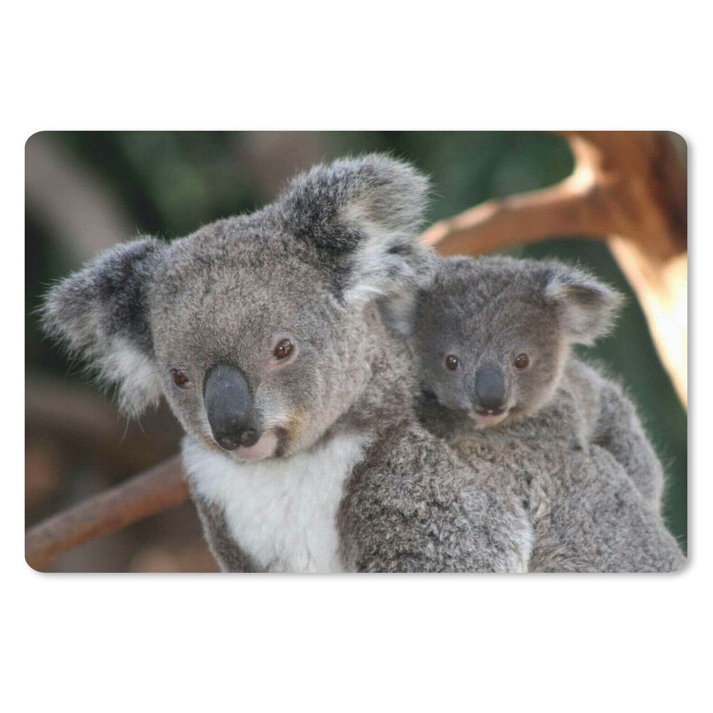 MuchoWow Schreibtischunterlage Koalas - Vater - Sohn - Jungen - Mädchen 60x40 cm - XXL Mauspad - Großes Mauspad