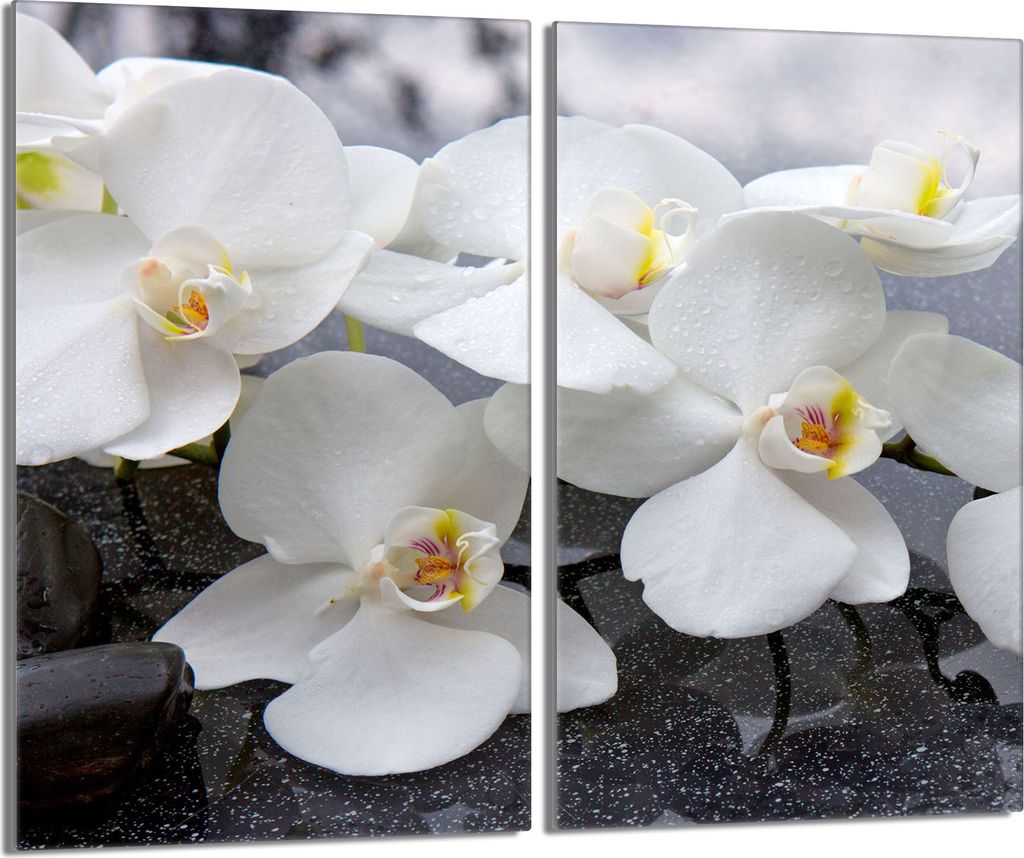 Glasschutzplatte für den Herd 2x30x52 Orchidea