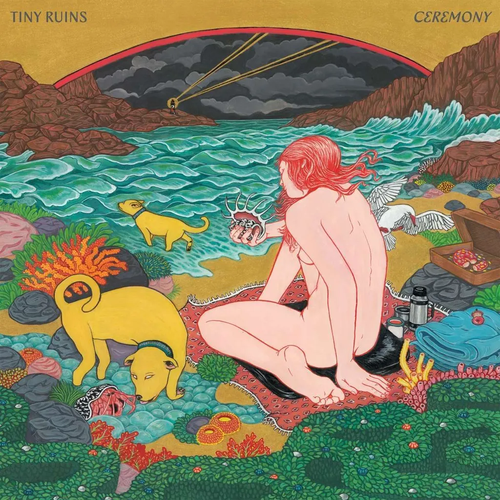 CD Album Tiny Ruins Ceremony Musique Relaxante Idéale pour Salon et Vinyle