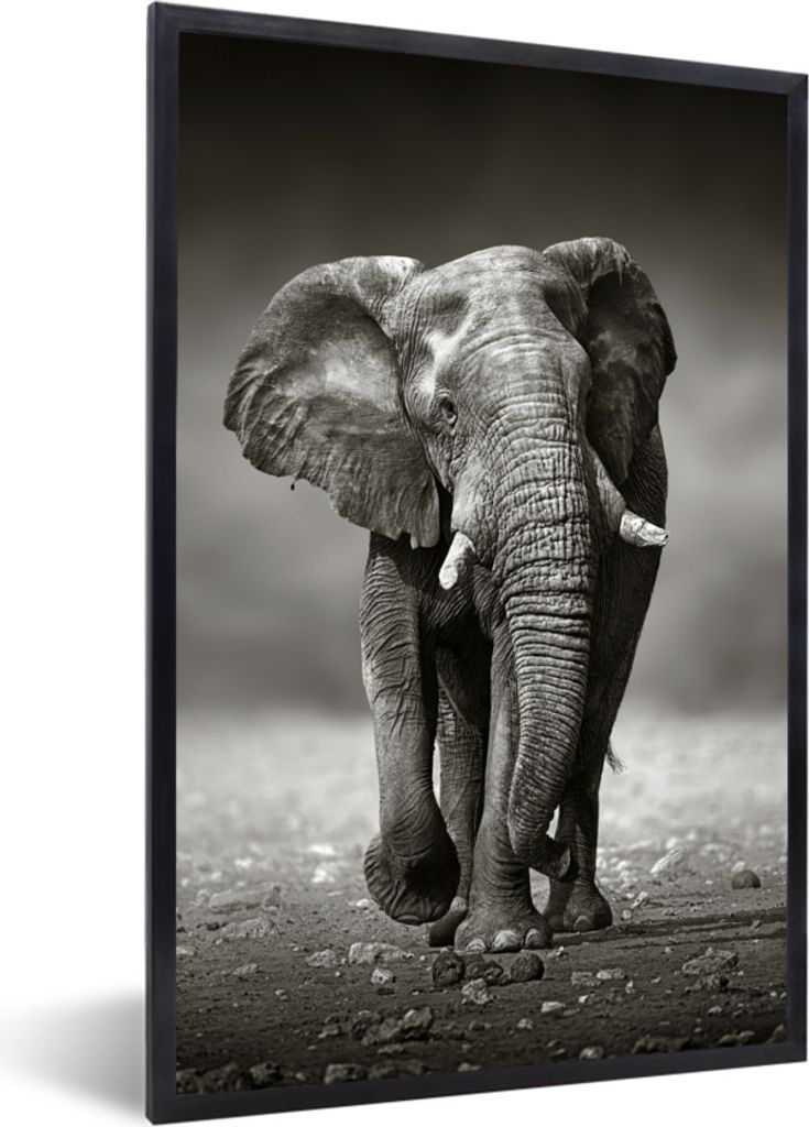 MuchoWow MuchoWow Gerahmtes Poster Elefant - Schwarz - Weiß - Namibia 40x60 cm - Poster mit zchwarzem Bilderrahmen - Papierdruck - Wandbilder