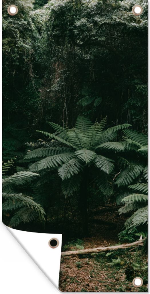 MuchoWow 30x60 cm Outdoor-Poster Gartendeko Sichtschutz Garten Poster für den Garten Farne im japanischen Regenwald