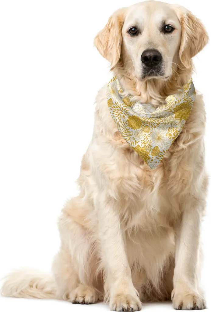 Accessorio Pet ABAKUHAUS Bandana Gialla 40x40cm Design Floreale