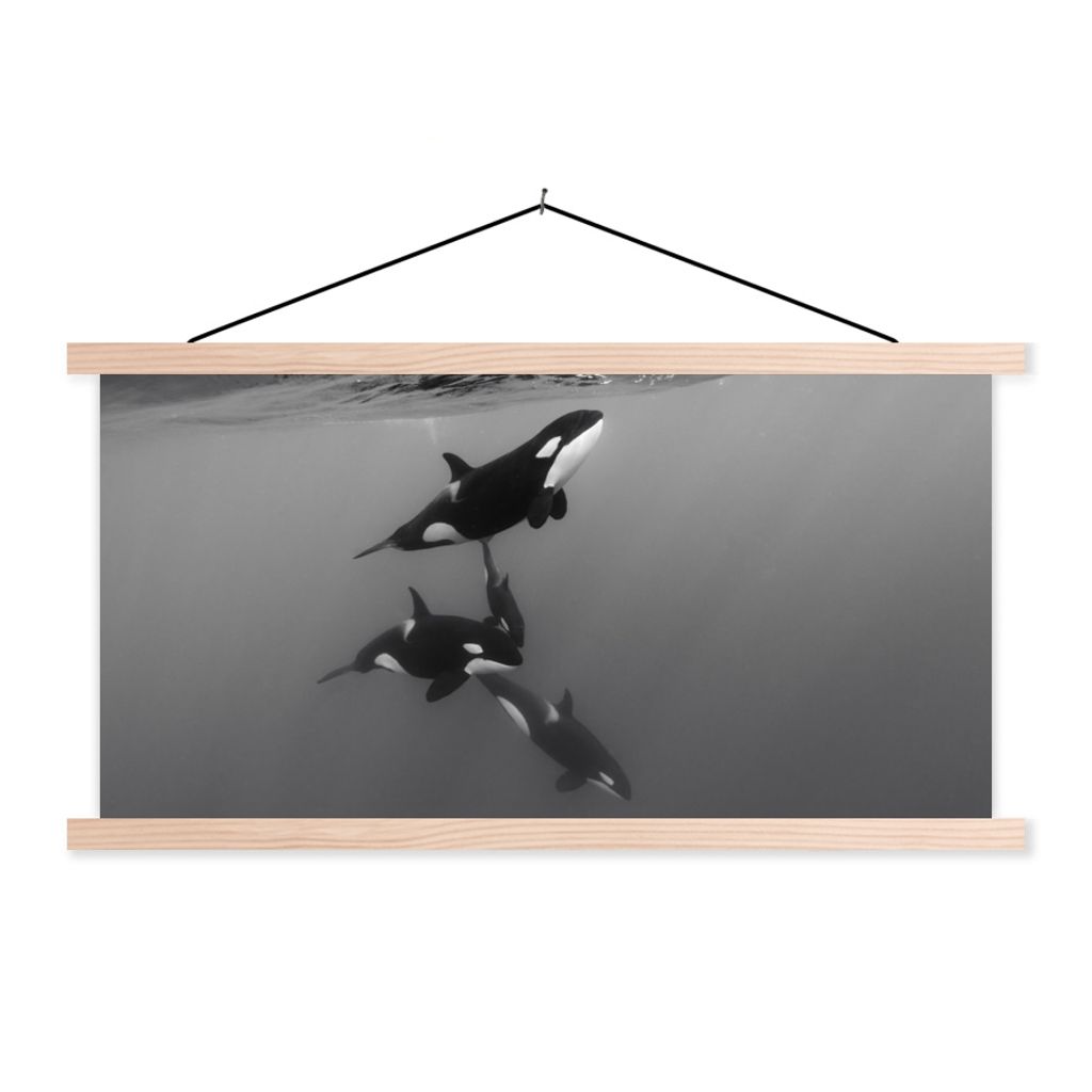MuchoWow Textilposter Orca - Wasser - Schwarz - Weiß 120x60 cm mit holzfarbenen Rahmen - Klemmleiste