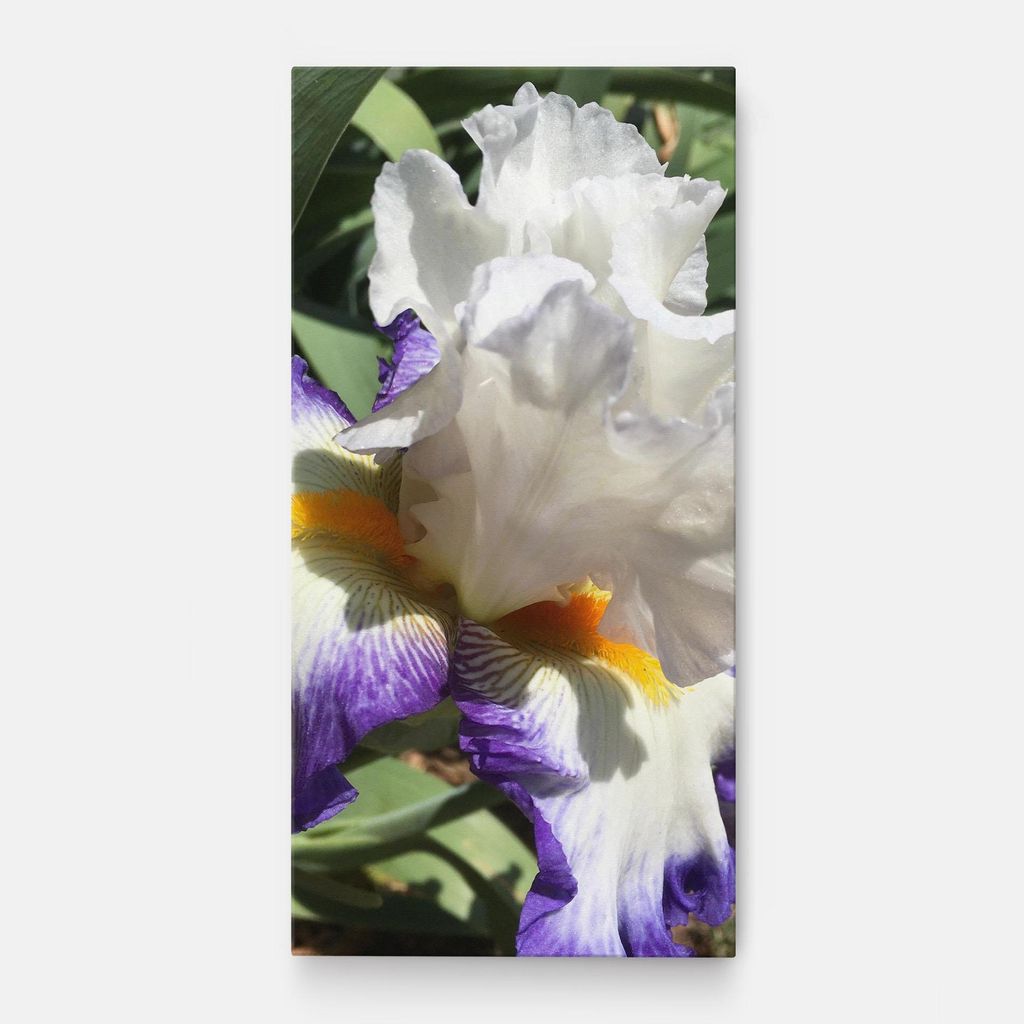 ARTHUB Leinwandbild 60x120 cm, Garden White Purple Irirs | Wohnzimmerdekoration, Hängende Bilder, Wanddekoration, Heimdekoration, Blumen, Iris