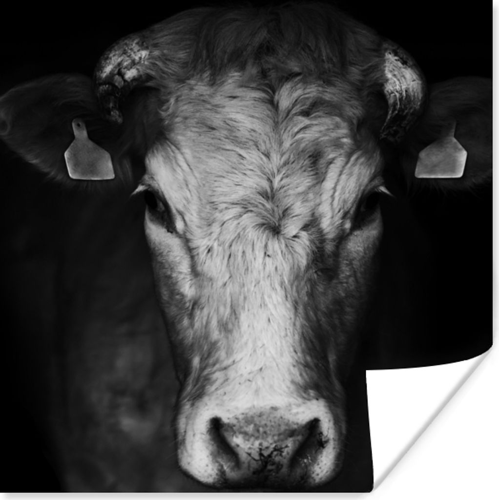 MuchoWow Poster Tiere - Kuh - Schwarz - Weiß - Kuhkopf 30x30 cm - Wandposter - Printing