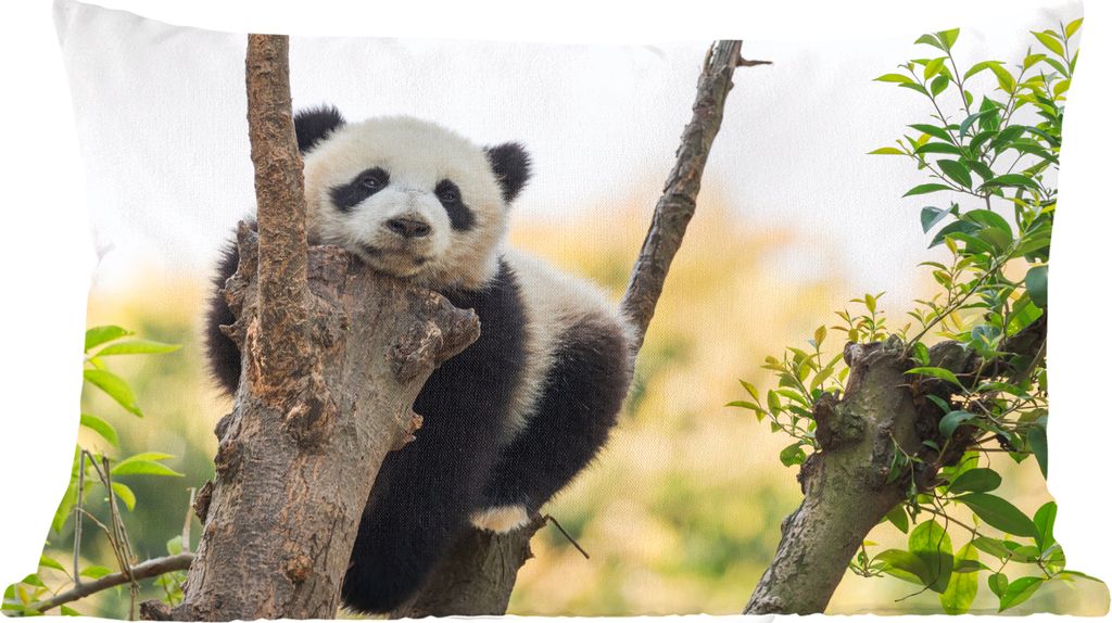MuchoWow Zierkissen Sofakissen Wohnzimmer Dekokissen 50x30 cm Panda - Baum - Licht - Wohnzimmerdekoration - Polster mit Photo