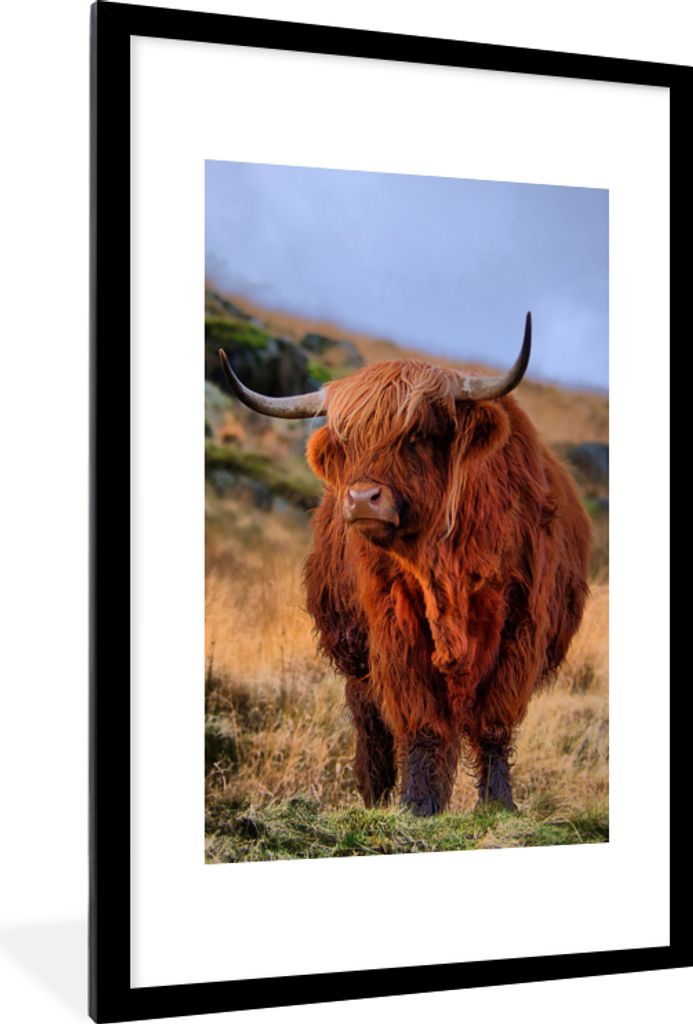 MuchoWow Gerahmtes Poster Schottische Highlander - Gras - Steine 60x90 cm - Poster mit Schwarzem Bilderrahmen Wandposter Rahmen Foto Bilder - Dek...