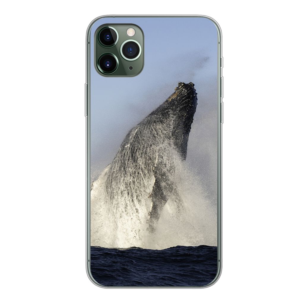 MuchoWow Handyhülle Schutzhülle Hülle für iPhone 11 Pro Max Wal - Wasser - Südafrika Silikon Softcase Handy Hülle - Schutz