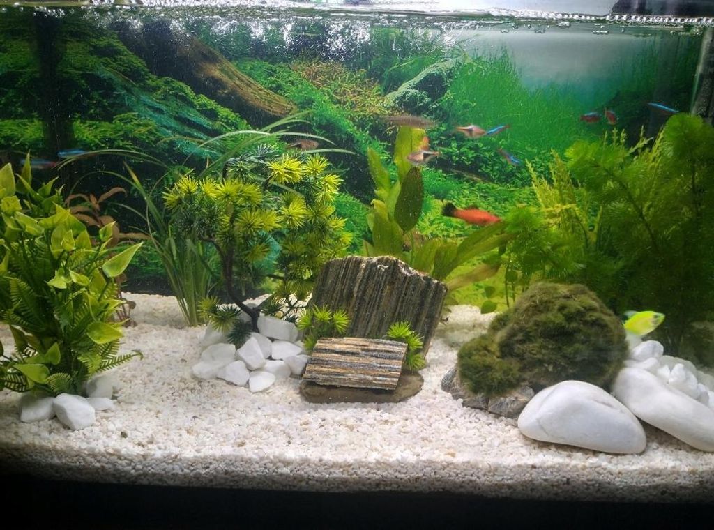 Aquarium Pflanzen Künstlich, 22 cm Kuenstlich 22 cm mit