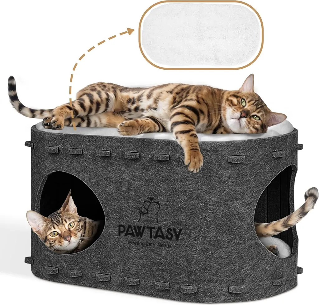 Lit pour chat résistant hiver avec protection griffes et 2 coussins