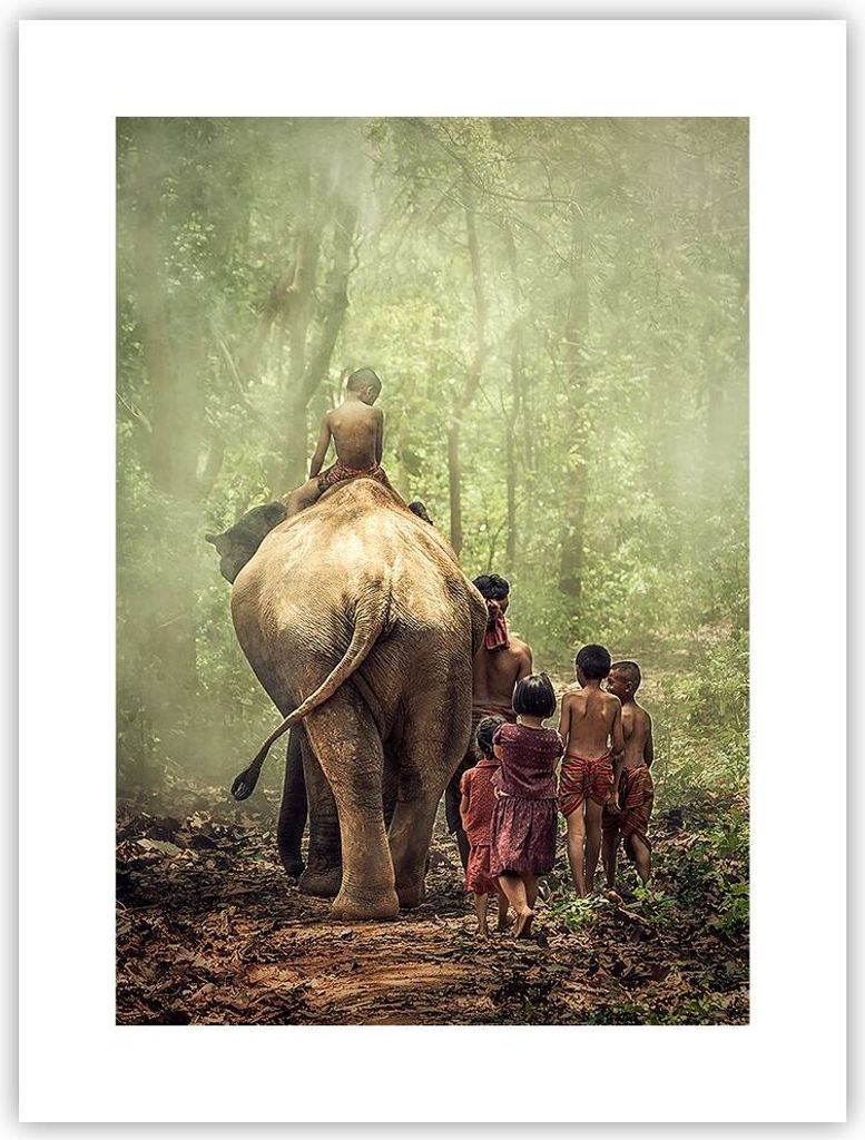 Poster - Poster ohne Rahmen - Elefant Dschungel Nebel - 30x40 cm - Wand Bild - Wanddeko - Wandbilder - Kunstposter - Wandposter - Bilder - Kunstdru...