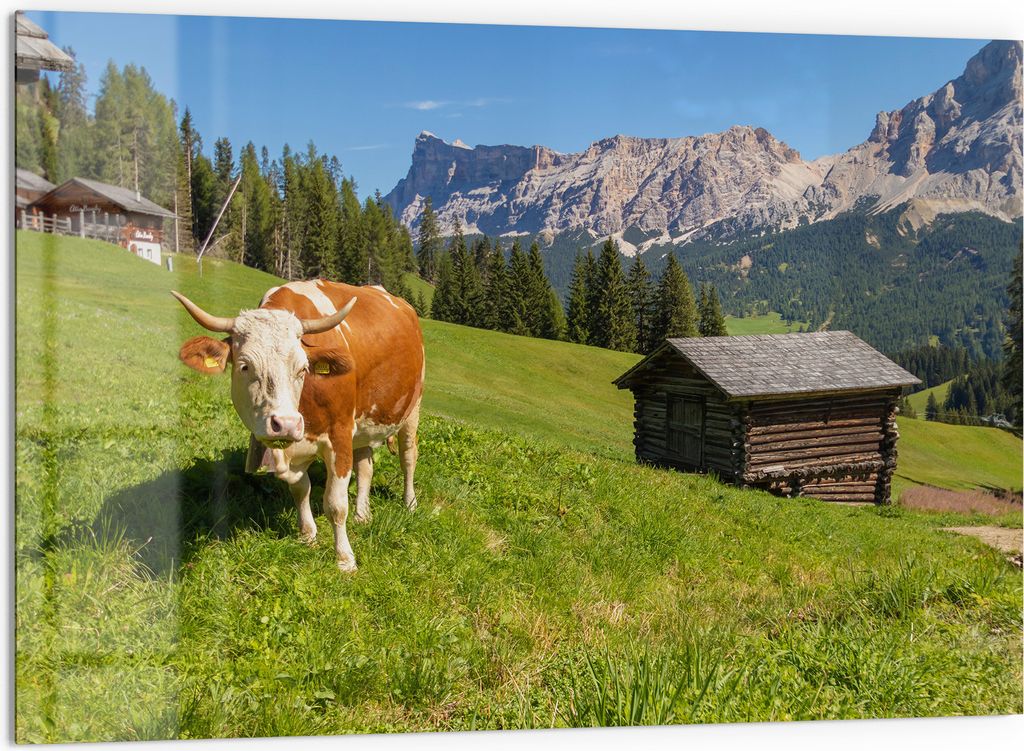 DEQORI Küchenrückwand Glas 60x40 cm 'Alpine Ruhepause' Spritzschutz Bad Rückwand Küche