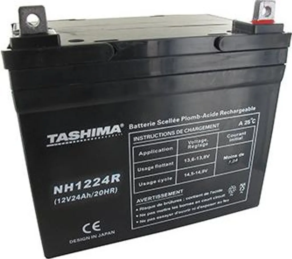 Batterie de démarrage 12V 24Ah pour tracteur tondeuse et autoportée